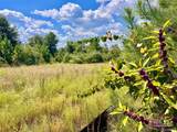 Lot 14 Morgans Branch - Photo 12