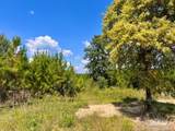 Lot 14 Morgans Branch - Photo 17