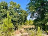 Lot 14 Morgans Branch - Photo 18