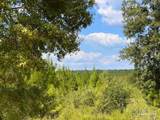 Lot 14 Morgans Branch - Photo 19