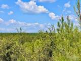 Lot 14 Morgans Branch - Photo 20