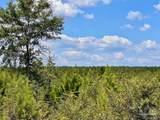 Lot 14 Morgans Branch - Photo 21