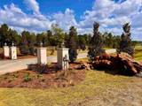 Lot 14 Morgans Branch - Photo 6