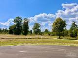Lot 14 Morgans Branch - Photo 8
