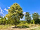 Lot 14 Morgans Branch - Photo 9