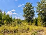 Lot 15 Morgans Branch - Photo 11