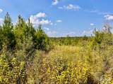 Lot 15 Morgans Branch - Photo 13