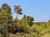 Lot 16 Morgans Branch - Photo 11