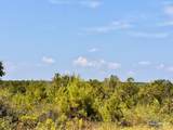 Lot 16 Morgans Branch - Photo 12