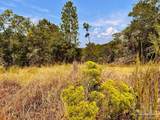 Lot 16 Morgans Branch - Photo 17