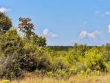 Lot 16 Morgans Branch - Photo 9