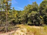 Lot 17 Morgans Branch - Photo 10