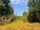 Lot 18 Morgans Branch - Photo 11