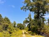 Lot 19 Morgans Branch - Photo 10