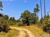 Lot 19 Morgans Branch - Photo 11
