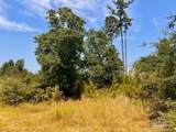 Lot 19 Morgans Branch - Photo 13