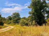 Lot 19 Morgans Branch - Photo 14