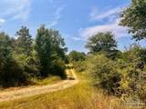 Lot 19 Morgans Branch - Photo 15