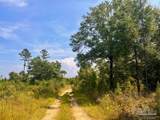 Lot 19 Morgans Branch - Photo 16