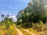 Lot 19 Morgans Branch - Photo 17