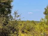 Lot 19 Morgans Branch - Photo 18