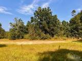 Lot 19 Morgans Branch - Photo 21