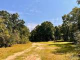 Lot 19 Morgans Branch - Photo 23