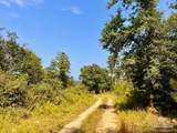 Lot 19 Morgans Branch - Photo 8
