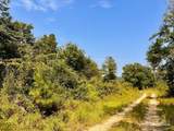 Lot 19 Morgans Branch - Photo 9