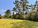 Lot 24 Morgans Branch - Photo 10