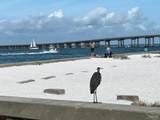100 Gulf Shore Dr - Photo 64