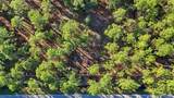 2173 Garcon Point Rd - Photo 12