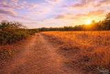 Lot 41 Mineral Springs Rd - Photo 1
