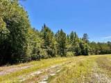 Lot 41 Mineral Springs Rd - Photo 11