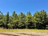 Lot 41 Mineral Springs Rd - Photo 16