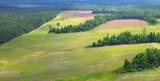 Lot 41 Mineral Springs Rd - Photo 4