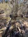 Lot 21 Creek Bluff Dr - Photo 7