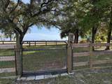 10600 Gulf Beach Hwy - Photo 3