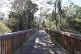 4279 Conradina Dr - Photo 44