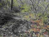 Lot A1 Snider Rd - Photo 11