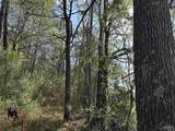Lot A1 Snider Rd - Photo 17