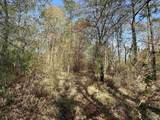 Lot A1 Snider Rd - Photo 9