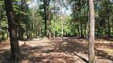 Lot 22 Creek Adventures Ln - Photo 19