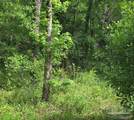 Parcel B 2000 Molino Rd - Photo 21