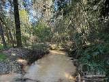 85+/- acres Wiley Scott Rd - Photo 1