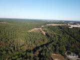 85+/- acres Wiley Scott Rd - Photo 3