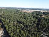 85+/- acres Wiley Scott Rd - Photo 4