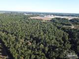 85+/- acres Wiley Scott Rd - Photo 5