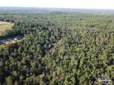 85+/- acres Wiley Scott Rd - Photo 7