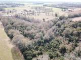 13 acres Hwy 4 - Photo 5
